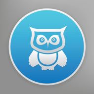 Owl icon on blue background clean vector