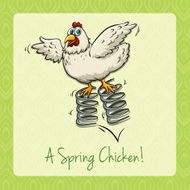 English idiom spring chicken