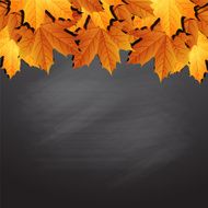 Frame of autumn leaves on black chalkboard N2