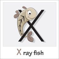 Alphabet-letter X N2
