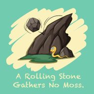 Rolling stone gathers no moss N2