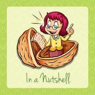In a nutshell idiom