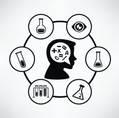 Education info graphic design clean vector