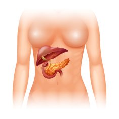 Pancreas cancer human