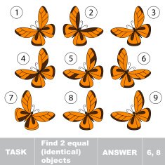 Task and answer N2