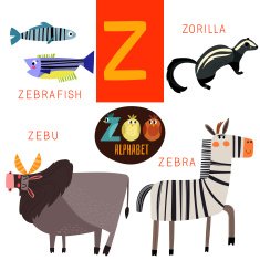 Cute zoo alphabet in vector Z letter Funny cartoon animals N2