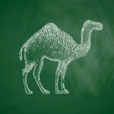 camel icon