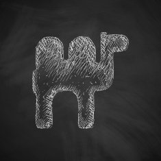 camel icon N2