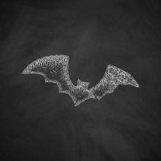 bat icon N4