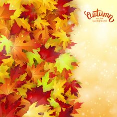 Vector background with colorful autumn leaves card template natural backdrop N4