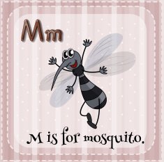Flashcard of M mosquito