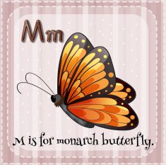 monarch butterfly N11