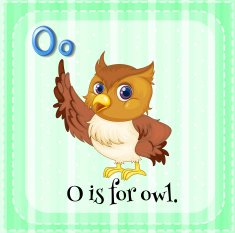 Alphabet O owl
