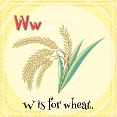 Letter W N17