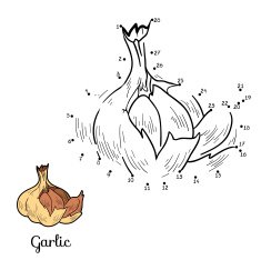 Numbers vector game fruits and vegetables (garlic) N2