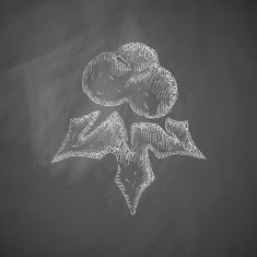 holly berries icon