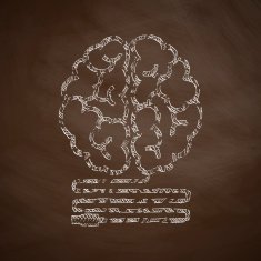 Brain Icon N4