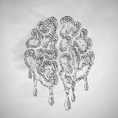 Brain Icon N6