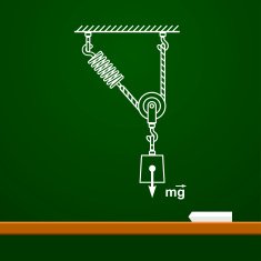 Loaded Movable Pulleys with spring and rope physics on board N4