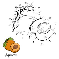 Numbers vector game fruits and vegetables (apricot) N2