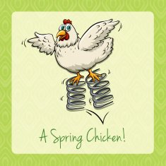 English idiom spring chicken