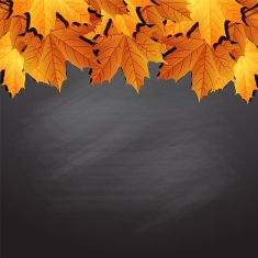 Frame of autumn leaves on black chalkboard N2