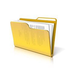 Folder with papers N2