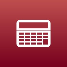 Vector Calculator Icon isolated displa mathematics N4