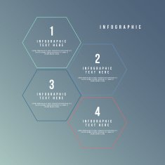 Business Infographics Minimal style Vector illustration N8