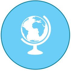 Globe Icon N16