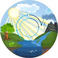 The water cycle