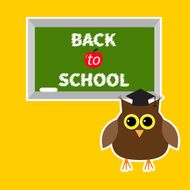 Owl in graduate hat academic cap and green board with N2
