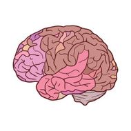 Illustration with human brain