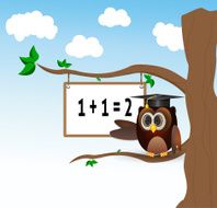 owl teaching above the tree