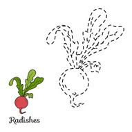 Connect the dots fruits and vegetables (radishes) N2