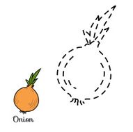 Connect the dots fruits and vegetables (onion) N2