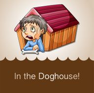Doghouse N2