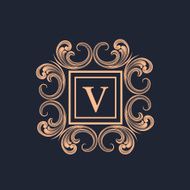 Creative frame with Letter V for monogram