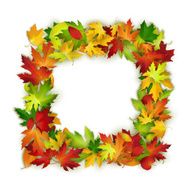 Vector frame with colorful autumn leaves natural design background