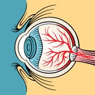 Eyeball x ray vector cartoon illustration N2