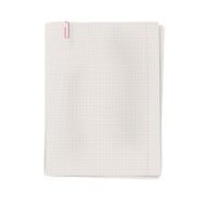 Clipped pile of squared sheets notebook paper