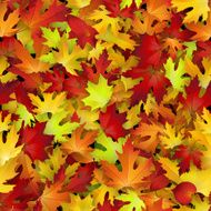 Vector seamless pattern with red and yellow autumn leaves N2