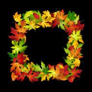 Vector frame with colorful autumn leaves natural design background N2