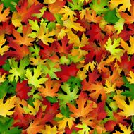 Vector seamless pattern with colorful autumn leaves natural backdrop