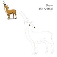 Draw animal gazelle educational game vector illustration N2