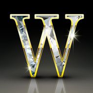 3d gorgeous diamond letter W