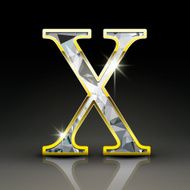 3d gorgeous diamond letter X