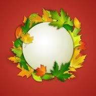 Vector card with colorful autumn leaves and white banner
