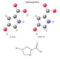 Hydroxyproline (Hyp) - chemical structural formula and models