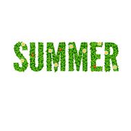 Word Summer with green leaves N3